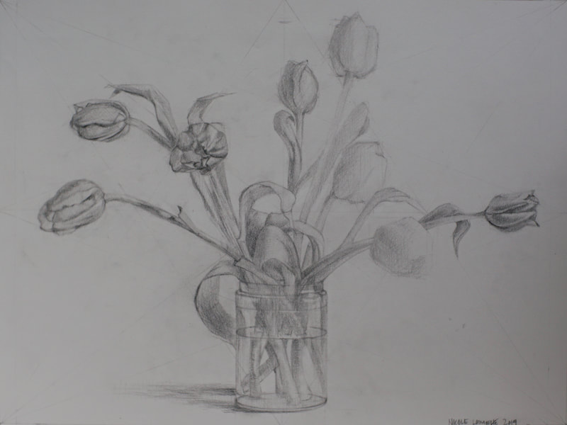 Realistic still life drawing tulip flowers