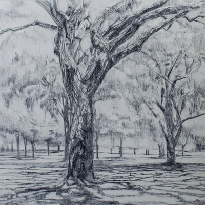 landscape charcoal drawing by Nicole Lamothe, Apollo Beach, Florida artist